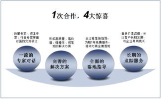 雙百行動(dòng) 引領(lǐng)發(fā)展的專(zhuān)業(yè)信息咨詢(xún)服務(wù)