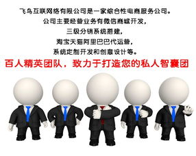 淘寶代運(yùn)營(yíng)模式解析 飛鳥(niǎo)互聯(lián)如何通過(guò)在線咨詢(xún)提供專(zhuān)業(yè)信息咨詢(xún)服務(wù)